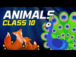 Animals class 10 animation in Hindi /English 2023