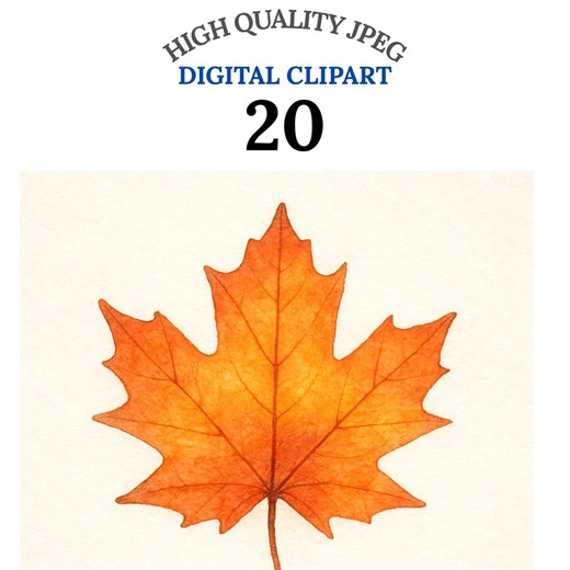 Autumn Leaf Clipart Bundle, Fall Leaves Clip Art Pack, Foliage Illustration, Fast Download, Commercial Use, DIY Crafts, Wall Art - Etsy