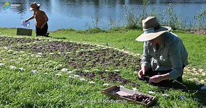 1.5K views · 32 reactions | Together with Manning Regional Art...