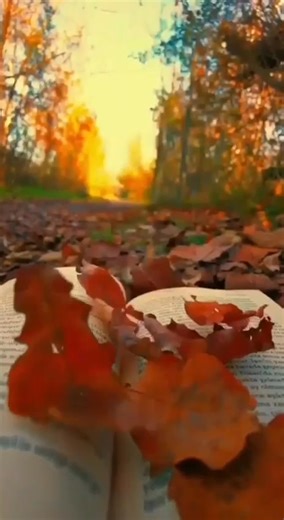 Игорь Кохановский стихи, музыка Владимира Высоцкого... | Igor Novikov