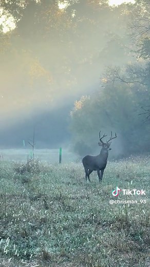 Tennessee Studs on the Move: Big Buck Adventures