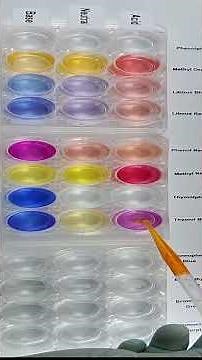 Acid base Indicators| Colorful reactions with acids and bases