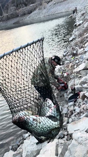 Pesca de crappie en Utah 🐟🎣❤️ #crappie #lineadepesca #parati #pesca #utah