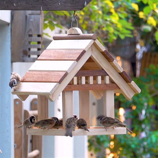 Turn old pallets into most impressive wooden bird feeder | Woodworking Tools TV