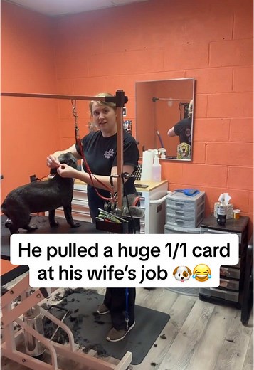 Help a Collector Find Valuable Sports Cards