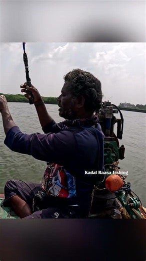 Mullet Fish Catch with Bamboo Stick Rod & Triple Hook Setup | Maida Bait Fishing #fishing #fish