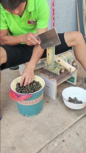 The process of cutting snail shells #shorts