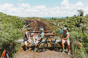 New Zealand Tours & Trips 2025 / 2026 | Contiki AU