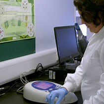 Genetic Manipulation of Cyanobacteria Using C - JoVE Journal