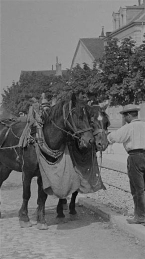 Gray quai Villeneuve entre bateau à vapeur, chevaux de trait et tramway... un autre temps