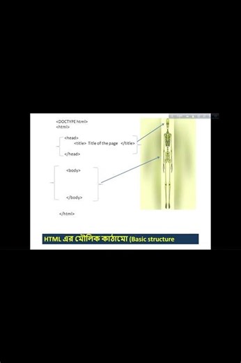 html Basic structure for HSC ICT #html, #html5, #htmlcoding, #ict, #htmlcode, #htmlelements