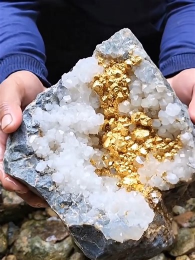 Discovering Crystal Stones and Gold in the Forest