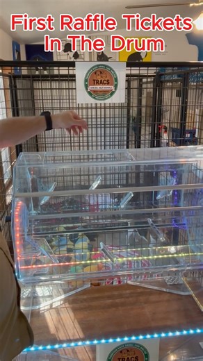 The Raffle is ON! 🥳 Our 20th Anniversary Fundraising Raffle officially kicked off today, and the first tickets are already in the drum! You do not want to miss the chance to win early. The first $500 cash drawing is happening this Friday at 5:00 P.M.! Remember, all tickets are returned to the barrel, so every entry remains eligible for future weekly drawings AND the grand prize! We are proud to partner with Dream Property Raffle. Get your ticket now! www.dreampropertyraffle.org #Raffle #Fundrai