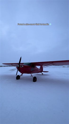 Beautiful Snowy Scene