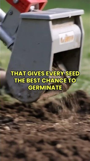 Most people skip this simple step before seeding their grass.