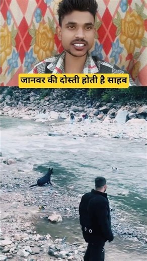 There is friendship between animals, sir #dog #dogshorts #shorts #viral #love