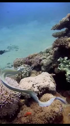 aknkao (@aknkao)’s videos with original sound - aknkao