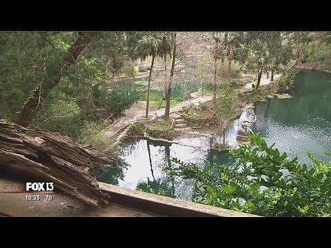 Florida rock quarry becomes elaborate garden