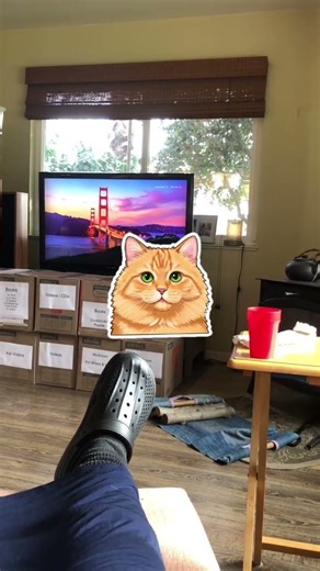 I need help with my lame meow!