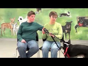 Stray Rescue of St. Louis - Foster and Save Lives!