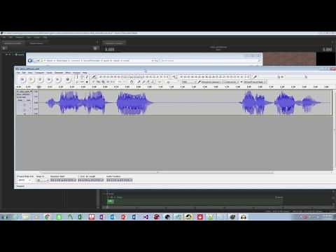 LordAardvark Shares - How To Get Sound Working in the Source Filmmaker