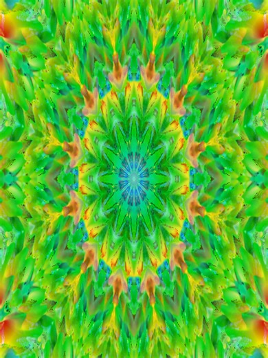 #audioreactivevisuals #resolume #visualizer #trippyart #resolumearena #visuals #kaleidoscope #loop #psychedelicart #vj #rvaedm #rvaedmmusic #abstract #abstractart