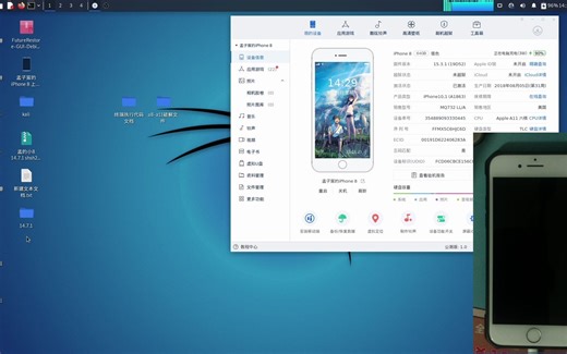最新苹果8/8p iOS15.3.1完美降级iOS14黑苹果系统教程2022.2月