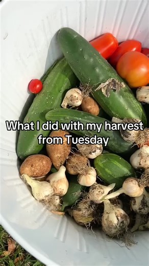 Delicious Home Canning Tips for Gardeners