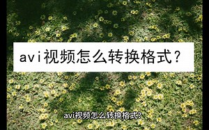 avi视频怎么转换格式