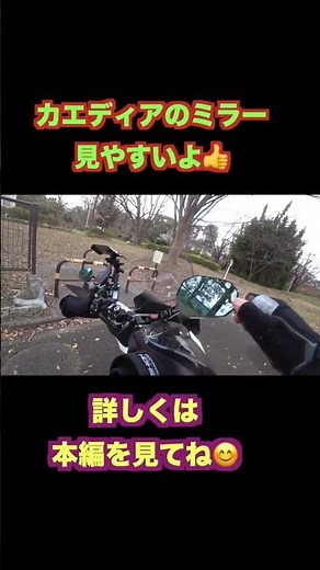 カエディアミラー、かなり良かった