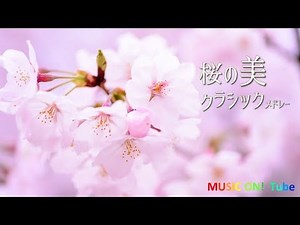 澄んだきれいな気持ちになれる～桜のようなクラシック 鑑賞用BGM/リラックス用BGM