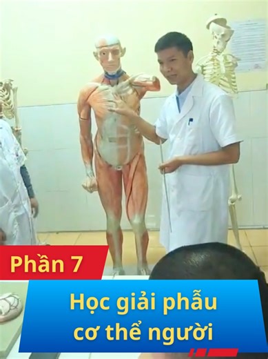 Phần 7: Học giải phẫu cơ thể người #chamsocsuckhoe #kienthuc #viral #fyp #foryou
