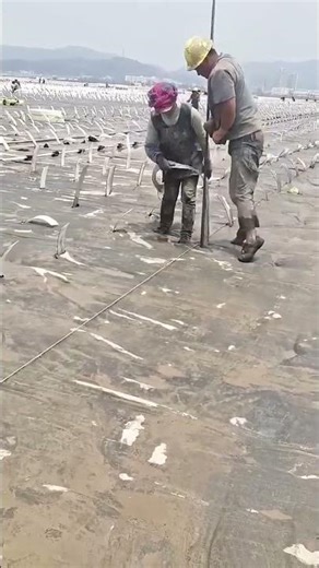 Inserting process of drainage pipes into soft soil