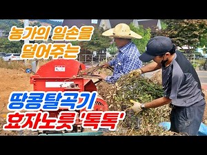 농가의 일손덜어주는 땅콩탈곡기, 효자노릇 '톡톡'