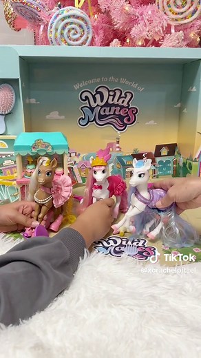 Discover Wild Manes: Fun Adventures with Horses