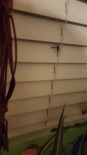 😩😅 | Melissa Solomon