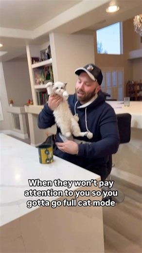 Nathan Kessel | Galaxy annihilator’s first cat mode | Instagram