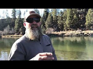 Aventik Switch rod and skagit casting tips