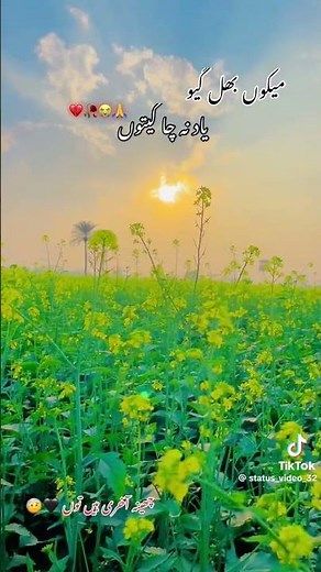 میکوں بھل کیو ئیادچا نہ کیتو ۔🥰🥰ہو وۓ چھینہ 🥰🥰مری نہ 🥰🥰 زندگی دی خیر ہوئی 🥰🥰