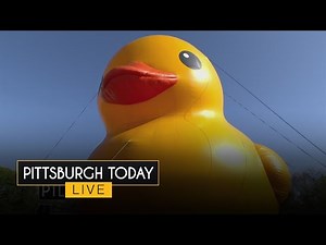 The world's largest rubber duck has splashed down in Pittsburgh