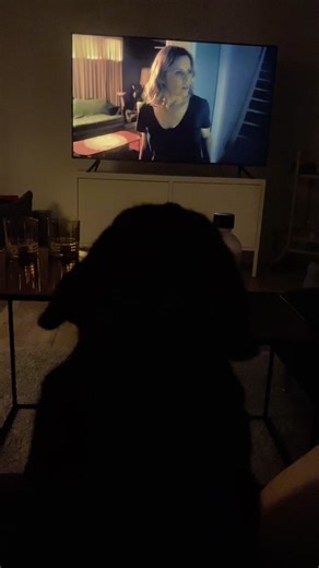 Don’t go in there! There is a zombie 🧟‍♀️ #walkingdead #pugsiren #pug #pugsoftiktok #dogsoftiktok #fyp #halloween