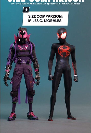 Size Comparison: Hot Toys Marvel Spider-Man Across the Spiderverse - Miles G. Morales (Prowler) . #hottoys #hottoyscollectibles #toycollector #toycommunity #figtok #spiderman #spidermanacrossthespiderverse #acrossthespiderverse #spiderverse #milesmorales #prowler #prowlermilesmorales #spiderman2099 #spiderpunk #theamazingspiderman #marvelcomics #marvellegends #shfiguarts #mafex #revoltech #sizecomparison #comparison