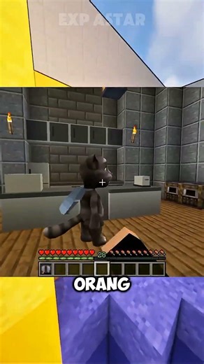 This Guy Attacked Yellow Shin In Minecraft!!