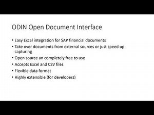 ODIN SAP financial document Excel interface