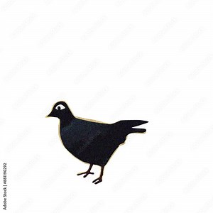 illustration of a pigeon jumping, 2d traditional animation, black frame by frame animating