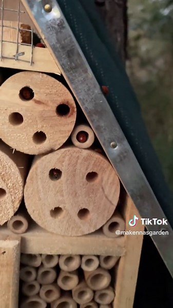 my beneficial insect hotel aka ladybug house🐞 #insecthotel #bughotel #gardening