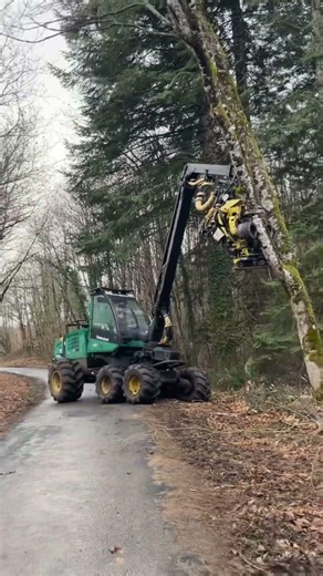 Abattage, arbre, dangereux #bois #forêt #johndeere ￼