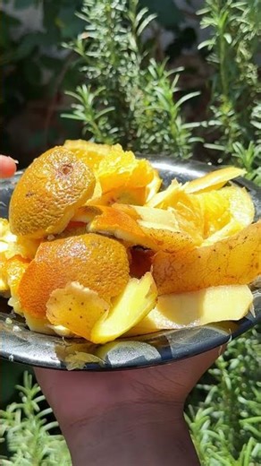 How to create compost using these fruit and vegetable peels