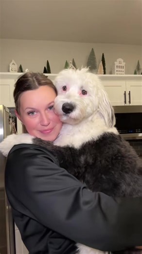 One of my goals this year is to step outside of my comfort zone more (talking in videos is definitely in that category 🤪) Safe to say this one was a major fail but how cute is my pup 🥹 #newyearsresolutions #sheepadoodle #smallcreator