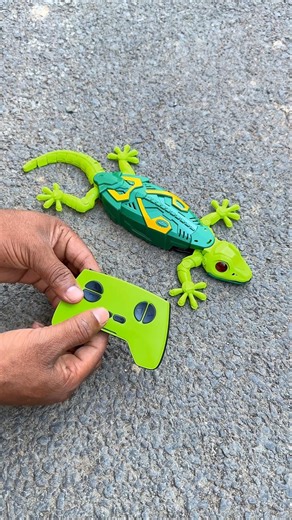 Remote control Gecko Lizard🦎 Testing Deko Guysb😱.